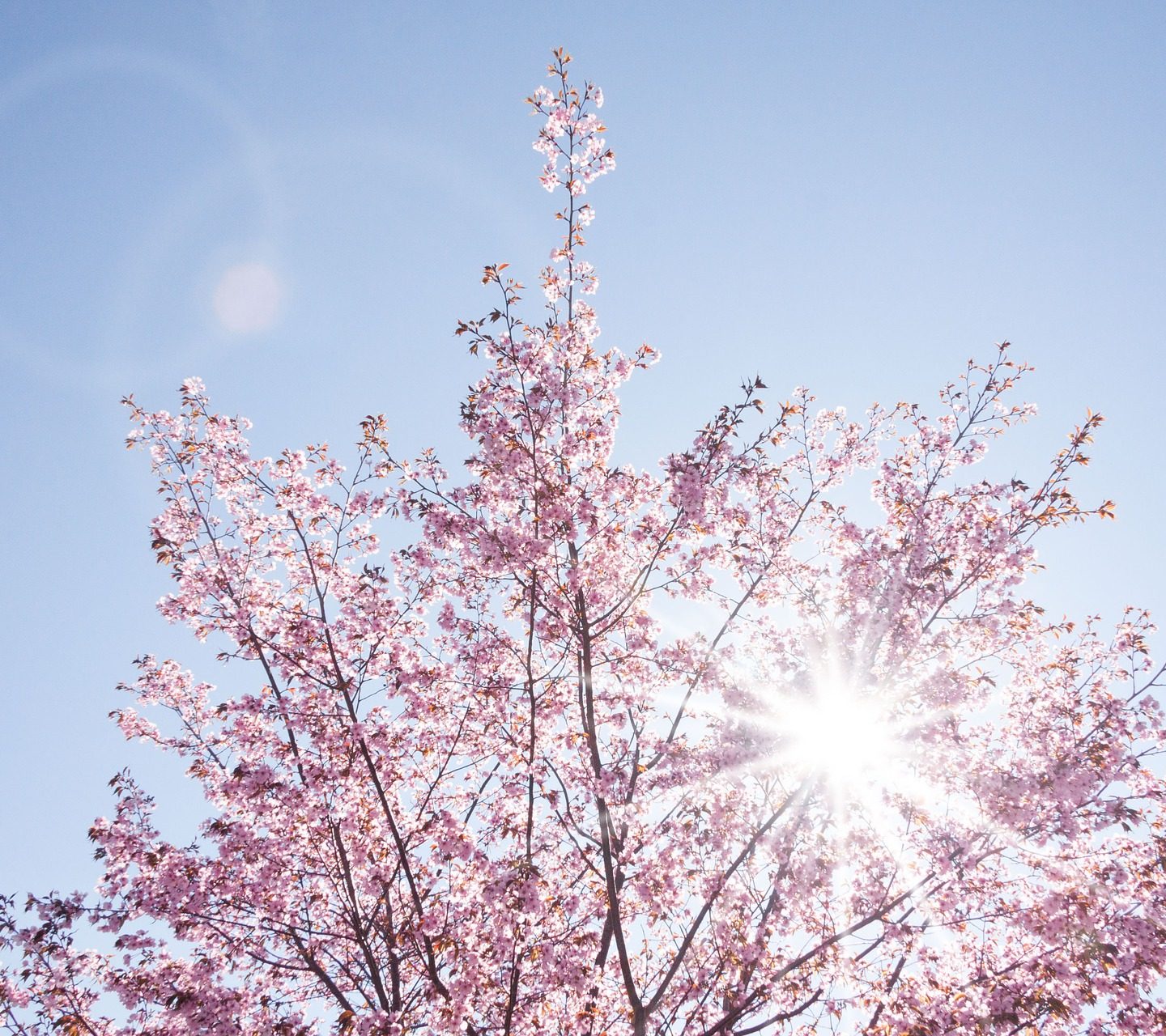 Signs of spring in Germany﻿