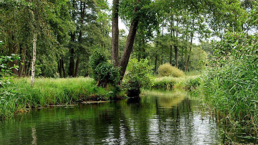 Natural places in Germany: Spreewald