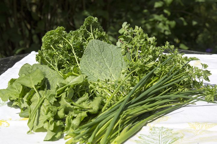 Freshly cut herbs on a white table