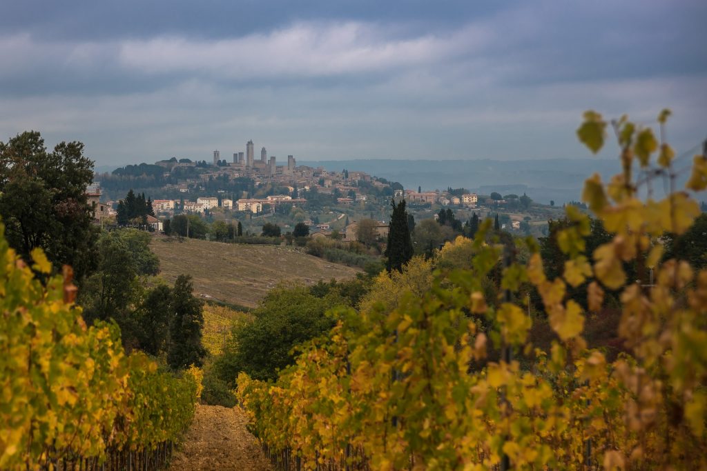 The hills in Tuscany